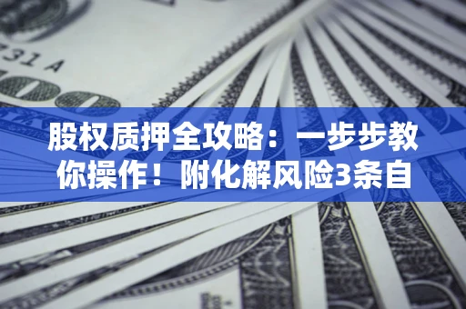 济南股权质押全攻略：一步步教你操作！附化解风险3条自救法则