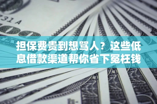 济南担保费贵到想骂人？这些低息借款渠道帮你省下冤枉钱