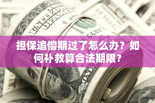 济南担保追偿期过了怎么办？如何补救算合法期限？