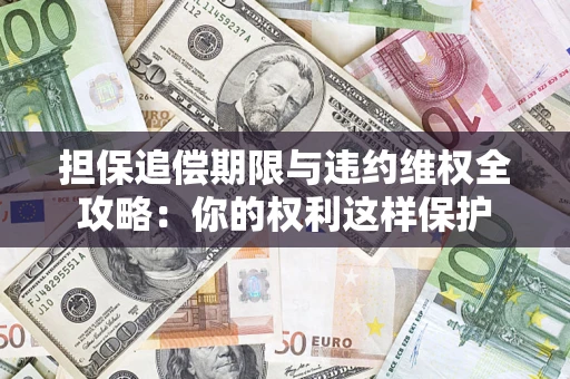济南担保追偿期限与违约维权全攻略：你的权利这样保护